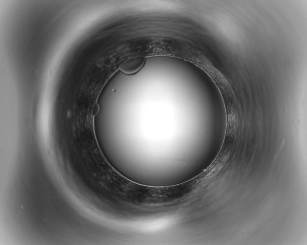 X0000093600765200710151221