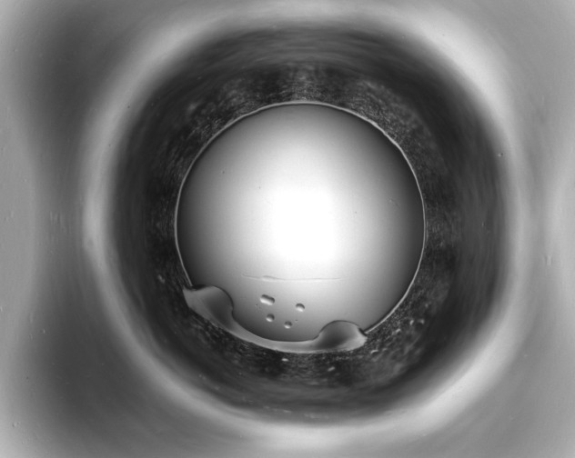 X0000093600766200710151221
