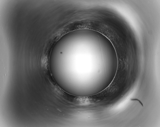 X0000093600767200710151221