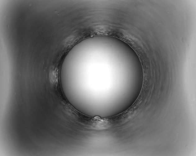 X0000093600768200710151221