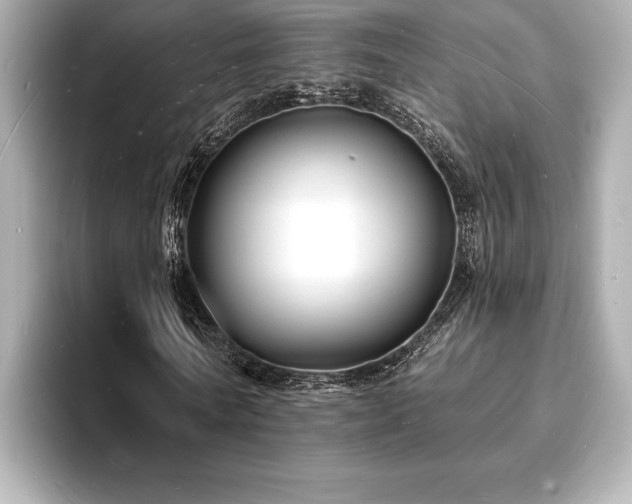 X0000093600770200710151220