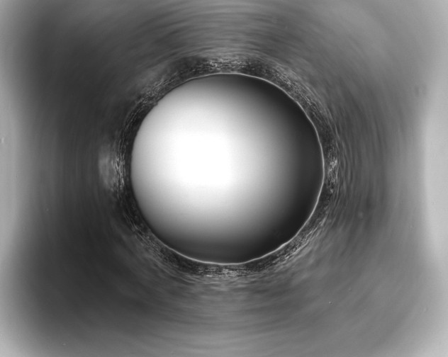 X0000093600772200710151220