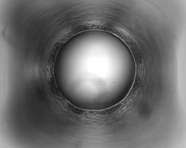 X0000093600774200710151220
