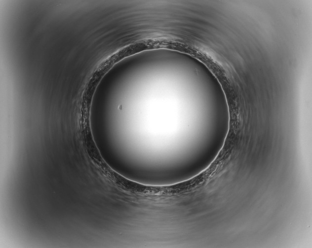 X0000093600775200710151220
