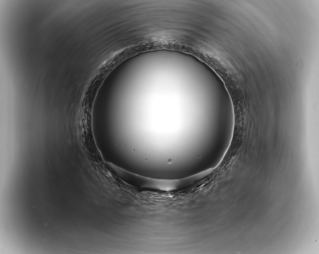 X0000093600776200710151220