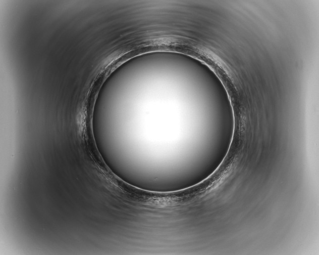 X0000093600778200710151220