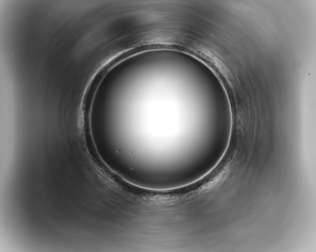 X0000093600779200710151220