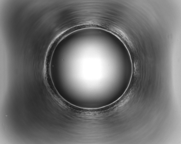 X0000093600780200710151220
