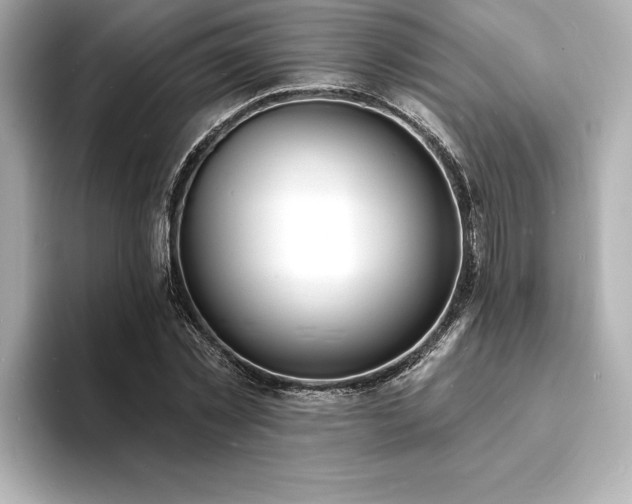 X0000093600781200710151220