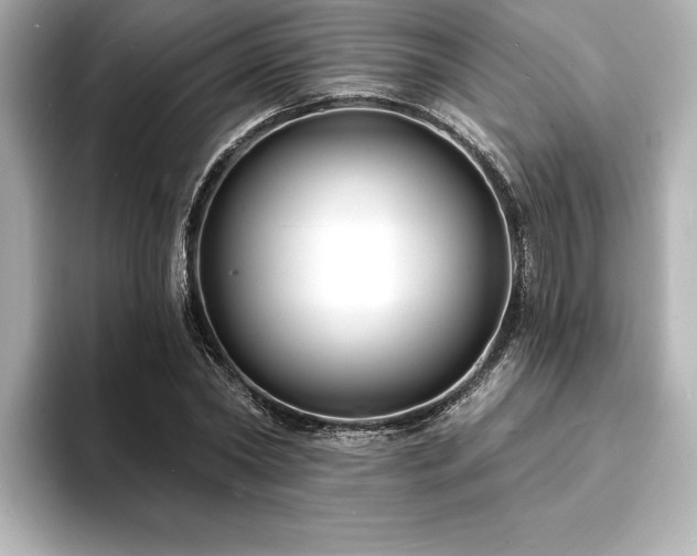 X0000093600782200710151220
