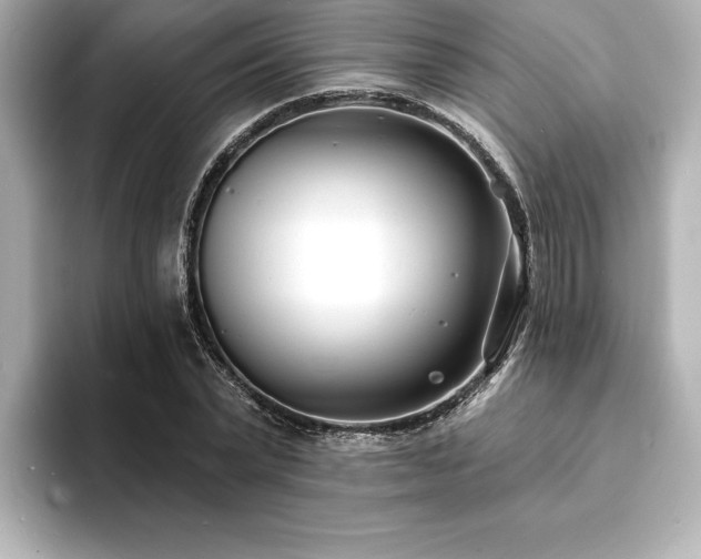 X0000093600783200710151220