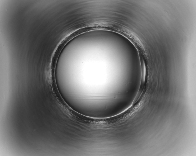 X0000093600784200710151220