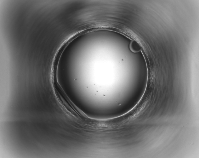 X0000093600787200710151220