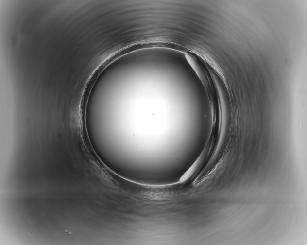 X0000093600789200710151220