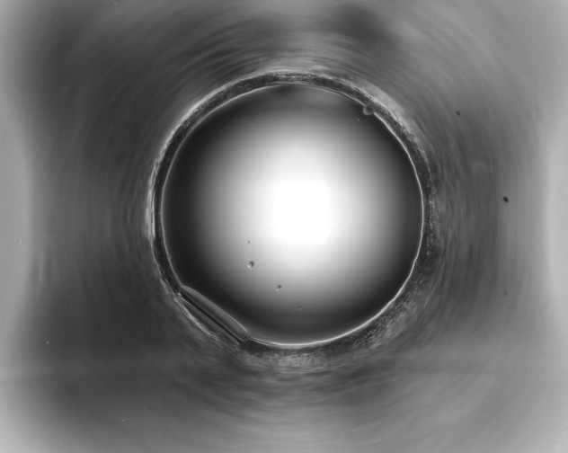 X0000093600791200710151220