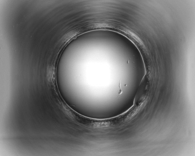 X0000093600793200710151220