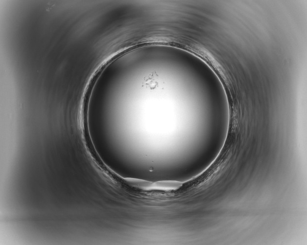 X0000093600795200710151220
