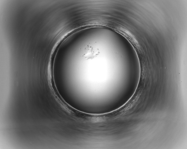 X0000093600796200710151220