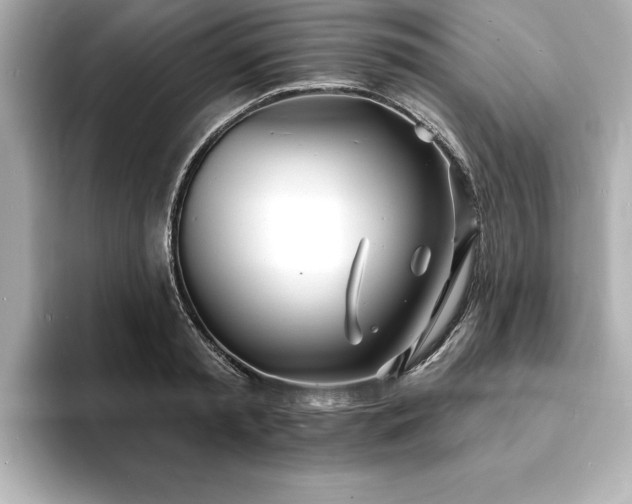 X0000093600797200710151220