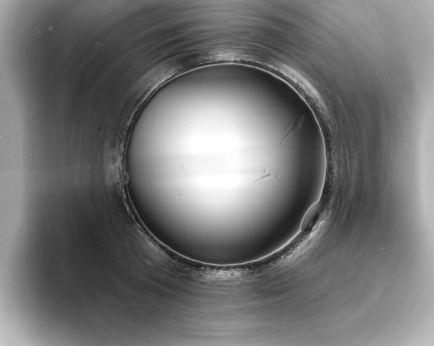 X0000093600801200710151220