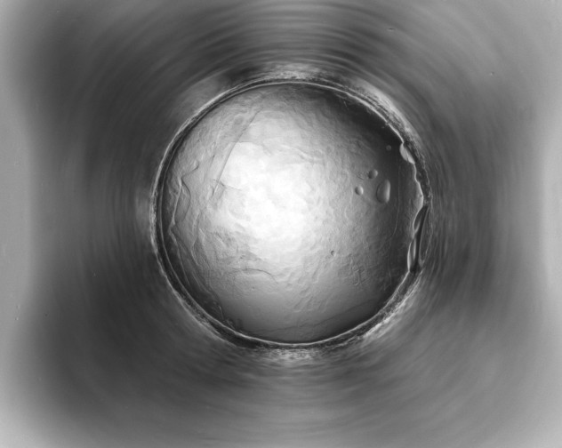 X0000093600802200710151220