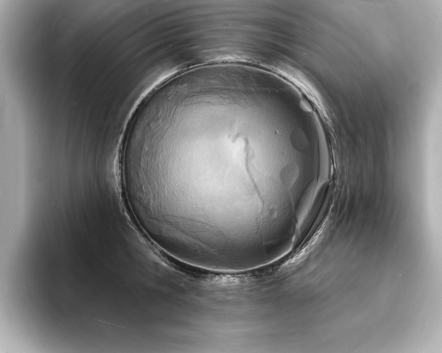 X0000093600806200710151220