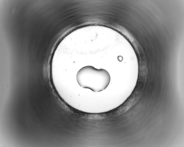 X0000093600807200710151220