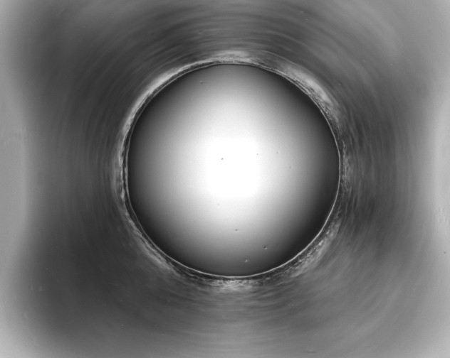 X0000093600808200710151220