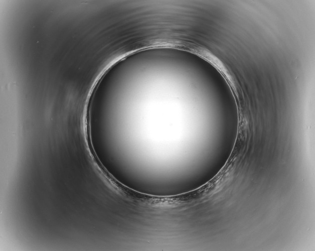 X0000093600811200710151220