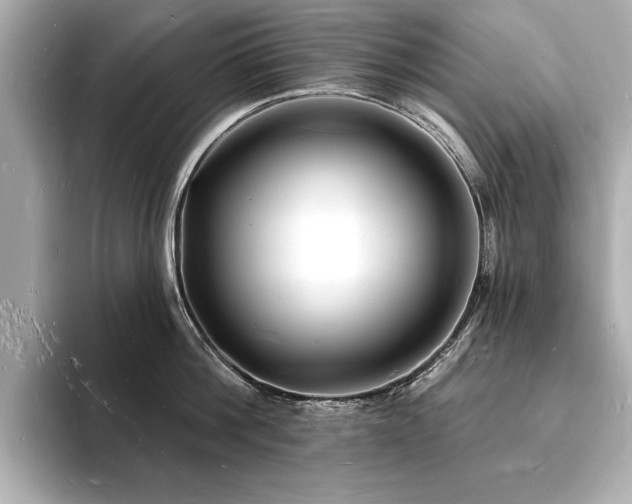 X0000093600812200710151220