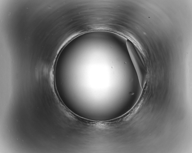 X0000093600814200710151220