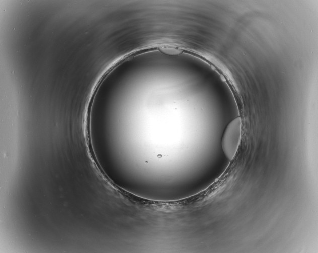 X0000093600815200710151220