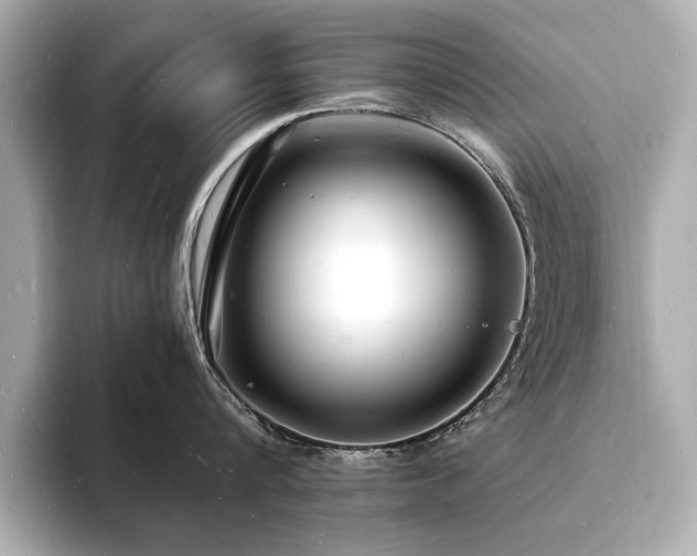 X0000093600816200710151220