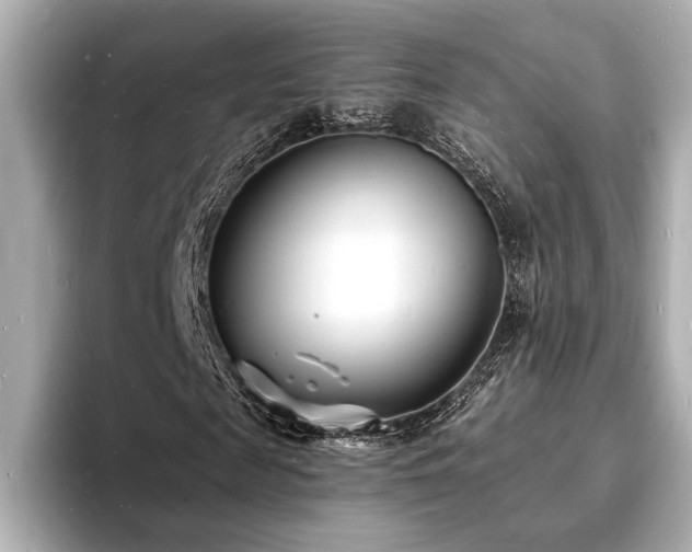 X0000093600817200710151219