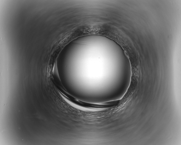 X0000093600818200710151219