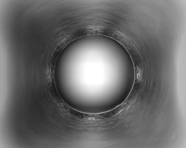 X0000093600819200710151219