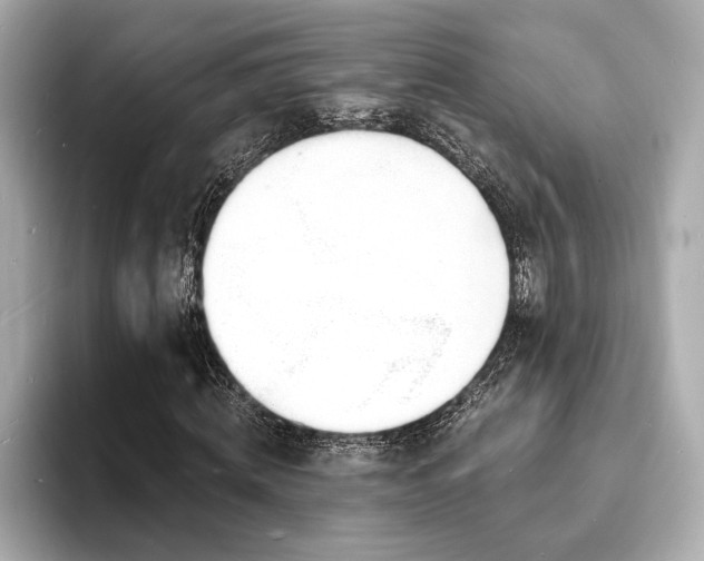 X0000093600820200710151219