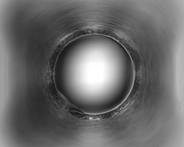 X0000093600822200710151219