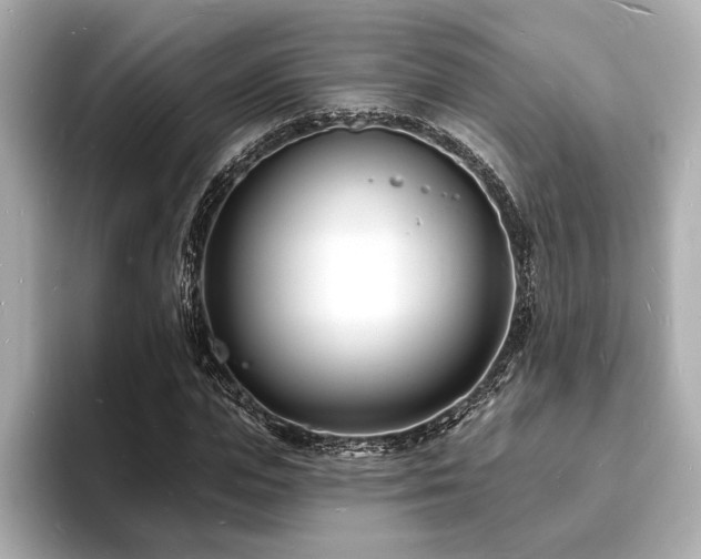 X0000093600823200710151219