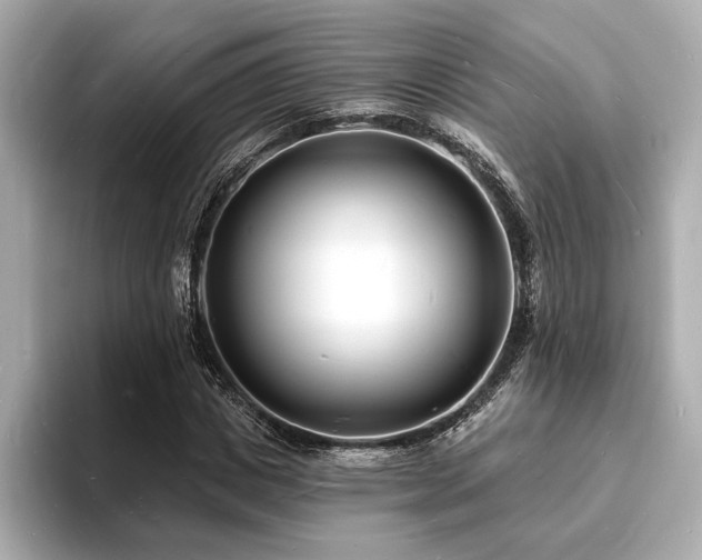 X0000093600825200710151219