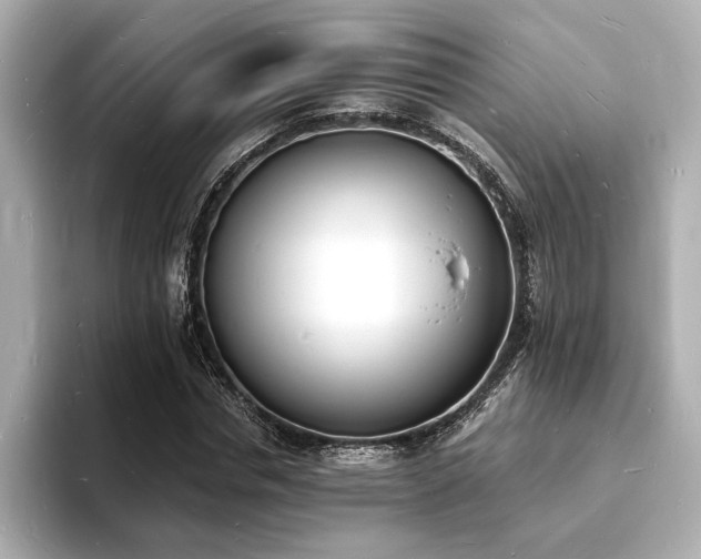 X0000093600826200710151219