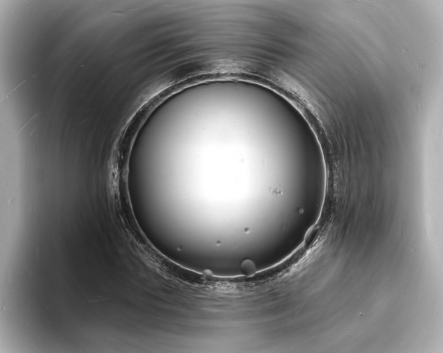X0000093600827200710151219