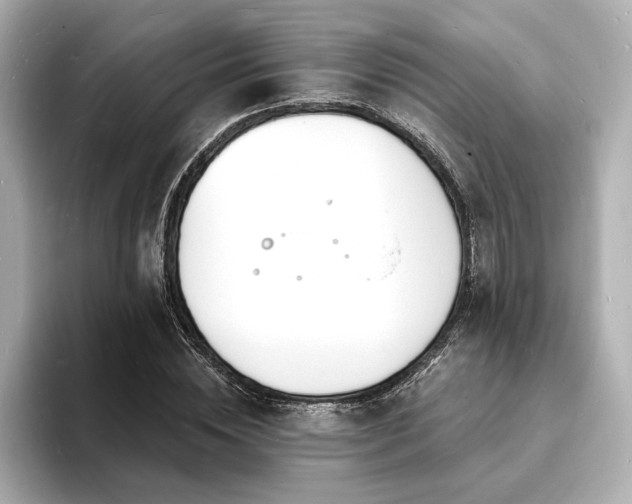 X0000093600828200710151219