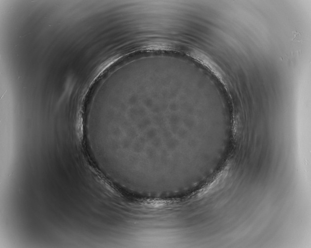 X0000093600829200710151219