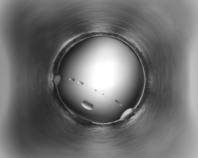 X0000093600830200710151219