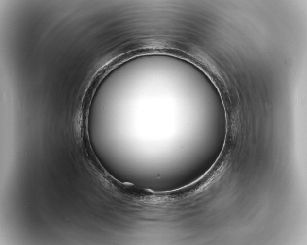 X0000093600831200710151219
