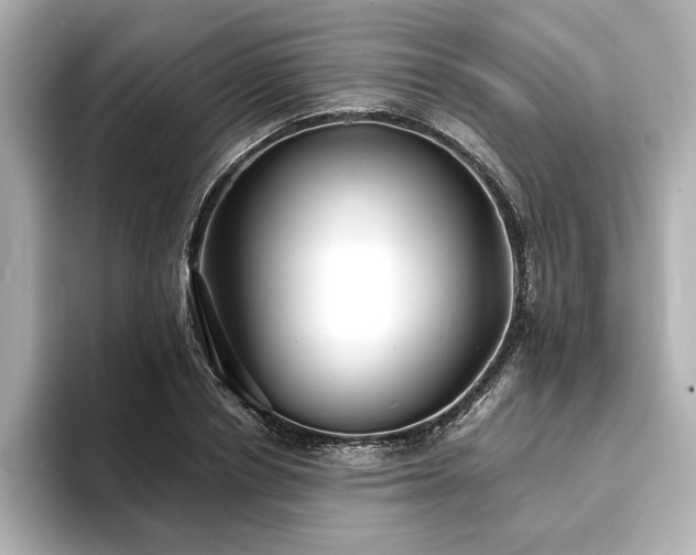 X0000093600834200710151219