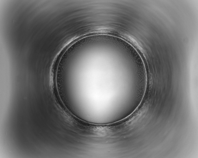 X0000093600835200710151219