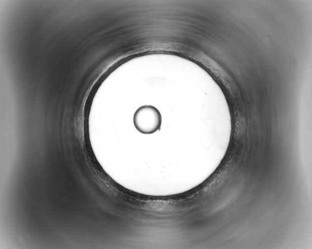 X0000093600836200710151219