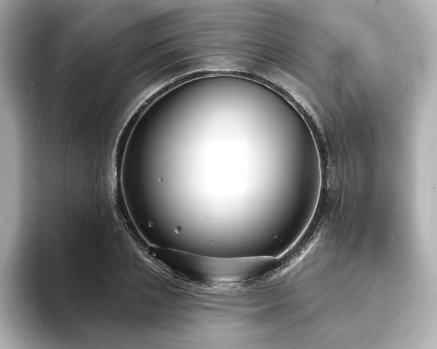 X0000093600837200710151219